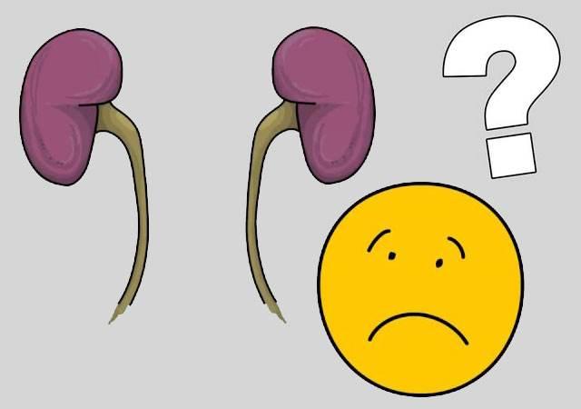 精密輸液器廠家