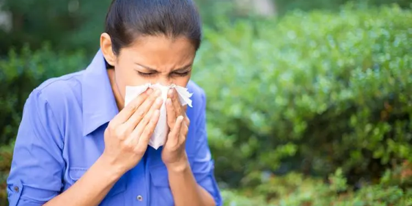 四季防敏全攻略：認(rèn)識(shí)與管理過(guò)敏性鼻炎