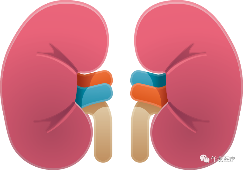 氧氣與身體的不解之緣